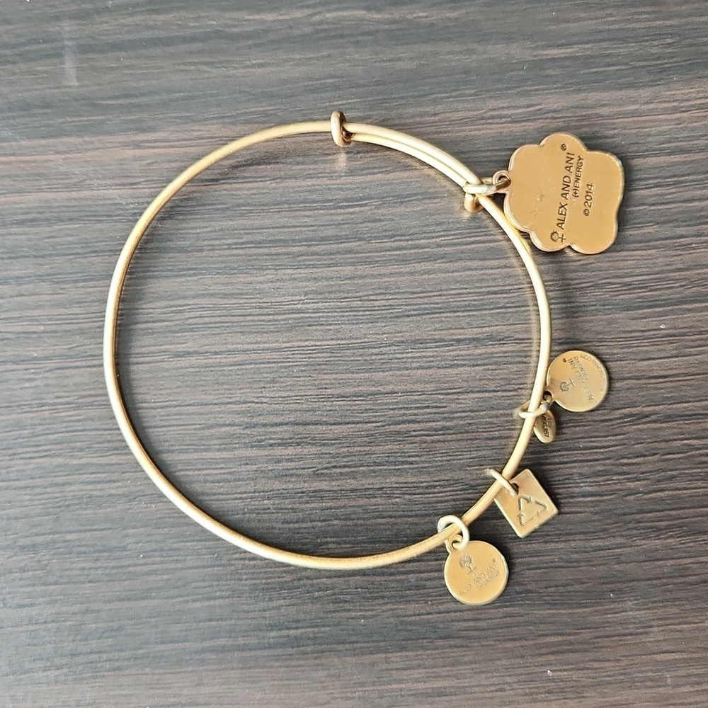 Alex and Ani Paw Print Charm Bracelet - Picture 3 of 4